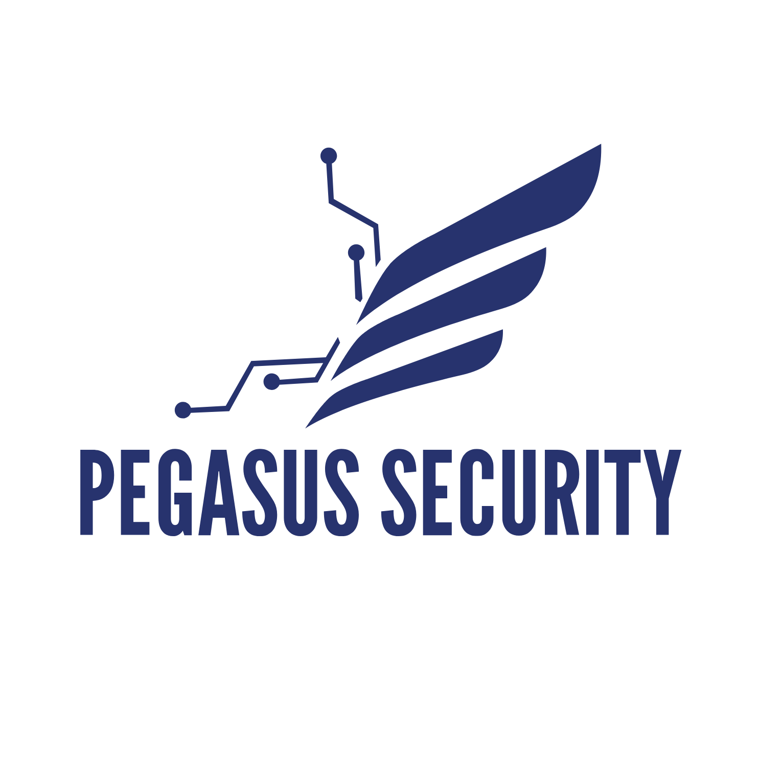 Pegasus Security